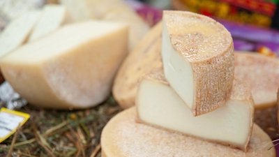 Сельхозартель Саратовской области открывает собственный магазин крафтовых сыров