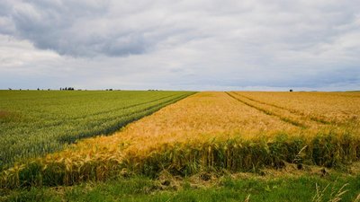 Финансирование земельной госпрограммы в 2024 году увеличится до 40,7 млрд руб.