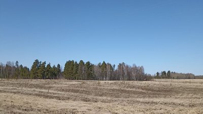 Продолжаются проверки соблюдения противопожарных мер в хозяйствах Томской области