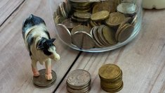 В Республике Алтай освоено 83,8% средств на поддержку приоритетных направлений АПК