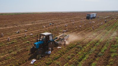 Средняя урожайность зерновых в Псковской области увеличилась почти на 10%