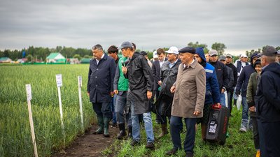 В Башкортостане стартовала серия семинаров по семеноводству и селекции сельхозкультур