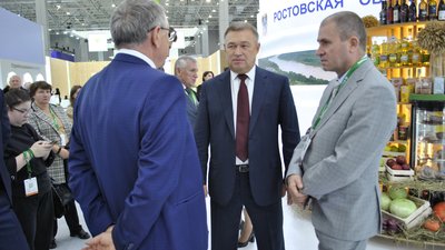На Дону планируют увеличить посевы овощных культур семенами отечественной селекции
