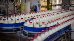 В Башкортостане в модернизацию молочного завода вложат более 5 млрд рублей