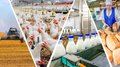 Правительство РФ внесло изменения в госпрограмму развития сельского хозяйства