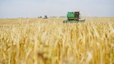 Аграрии Ивановской области получили 609,3 млн рублей господдержки за девять месяцев