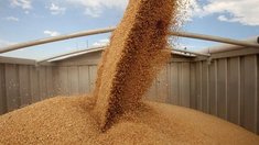 В Саратовской области строится современный складской и зерносушильный комплекс