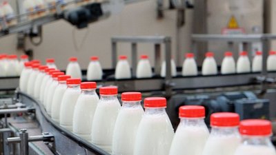 В Подмосковье вырос объем производства молочной продукции