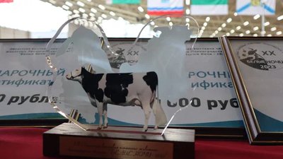 В Ленинградской области состоялась ХХ выставка племенных животных