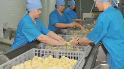 Лучших животноводов Липецкой области поощрят