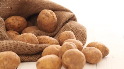 В Коми на четверть перевыполнили план сбора картофеля