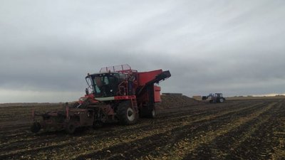 В Башкортостане собрали более миллиона тонн сахарной свеклы