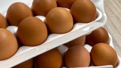 Подмосковной ферме на льготных условиях выделили землю для производства куриных яиц 