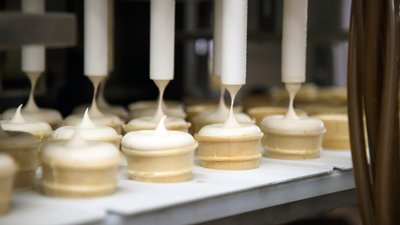 Мороженое из Липецкой области попробуют в Китае
