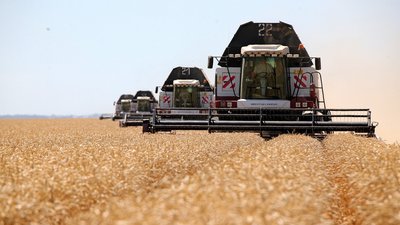 Аграрии Ростовской области собрали урожай ранних зерновых более чем с 20% уборочных площадей