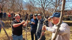 В Дагестане определят лучшего обрезчика сада