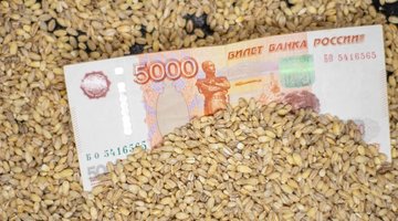 Россия нарастила экспорт зерновой продукции в Китай до рекордных 6 млн тонн