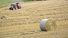 В Республике Башкортостан скошено 65% кормовых культур