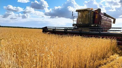 Свыше 2 млрд рублей субсидий предоставлено подмосковным аграриям для развития сельского хозяйства