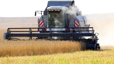 Урожай зерновых культур в Забайкалье на 11% превысил уровень 2021 года