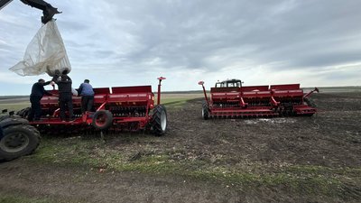 Сроки весеннего сева зерновых культур у аграриев Чувашии удлиняются из-за погоды
