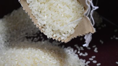 В Чеченской Республике прогнозируется сбор 12,3 тыс. т риса