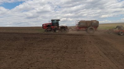 Расторопшу в лекарственных целях начнут выращивать в Забайкалье