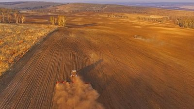 Минсельхоз предложил субсидировать озимый сев примерно по 3 тыс. рублей за гектар