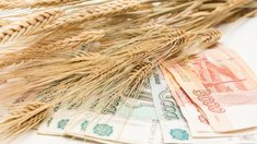 Воронежским аграриям перечислено 2,2 млрд руб. господдержки