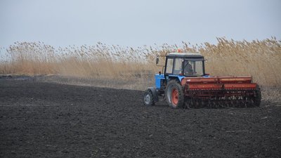 ​​​​​​​В Каменско-Днепровском районе Запорожской области под озимыми культурами занято более 35 тыс. га