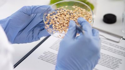 Россельхознадзор планирует обследовать в 2022 году 20 млн т зерна