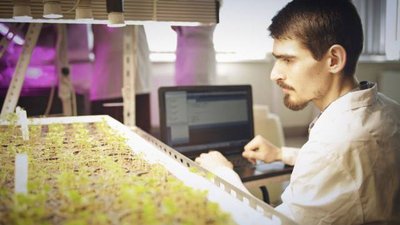 В Минсельхозе России утвердили проекты для участия в ФНТП