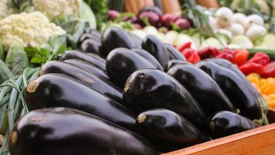 Ставропольские овощеводы получили более 227 млн рублей субсидий