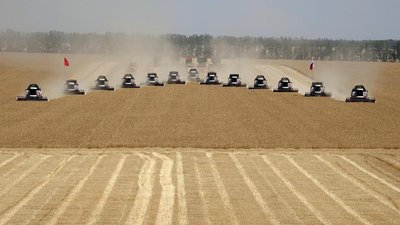 На Дону собрано более 7 млн тонн зерна нового урожая