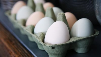 Обзор цен сельхозтоваро­производителей в Приморском крае