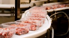 Перерабатывающая отрасль Запорожской области демонстрирует уверенный рост