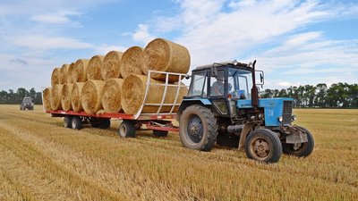 Нижегородские аграрии приступили к заготовке кормов для животных