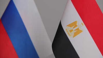 Развитие торговли продукцией АПК между Россий и Египтом обсудили на полях встречи министров сельского хозяйства БРИКС
