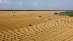 Правительство уточнило критерии определения неиспользуемых сельскохозяйственных земель