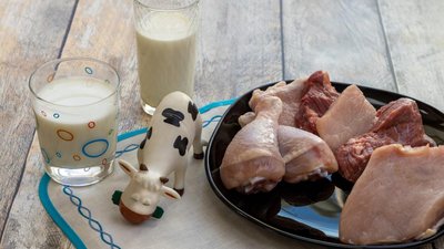 В Липецкой области производство скота и птицы увеличилось на 9,7%