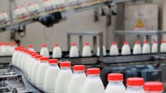 Объем реализации молока в сельхозорганизациях вырос на 2,3%