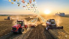 Финансовое плечо для посевной: государство усиливает поддержку агролизинга на фоне роста цен