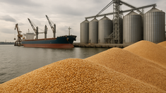 Экспорт российской пшеницы сталкивается с конкуренцией и двукратным падением перевалки в портах