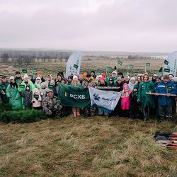 8 тысяч саженцев сосны высадили сотрудники агробанка на озере Аслыкуль в Башкортостане