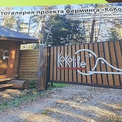 «Школа фермера» выпустила новое поколение аграриев Калужской области