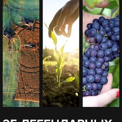 Голосуй за Калужских: началось народное голосование за «25 легендарных фермеров» России