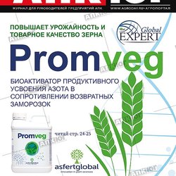 Глобал Эксперт, КЦ , ООО