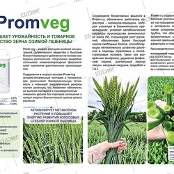 Глобал Эксперт, КЦ , ООО