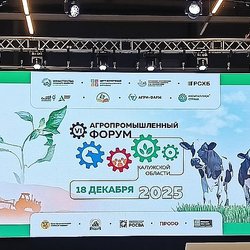 АПК Калуги: фокус на Своё от Россельхозбанка