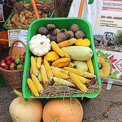 РСХБ представил возможности сервиса "Я в Агро" для калужских агроклассов